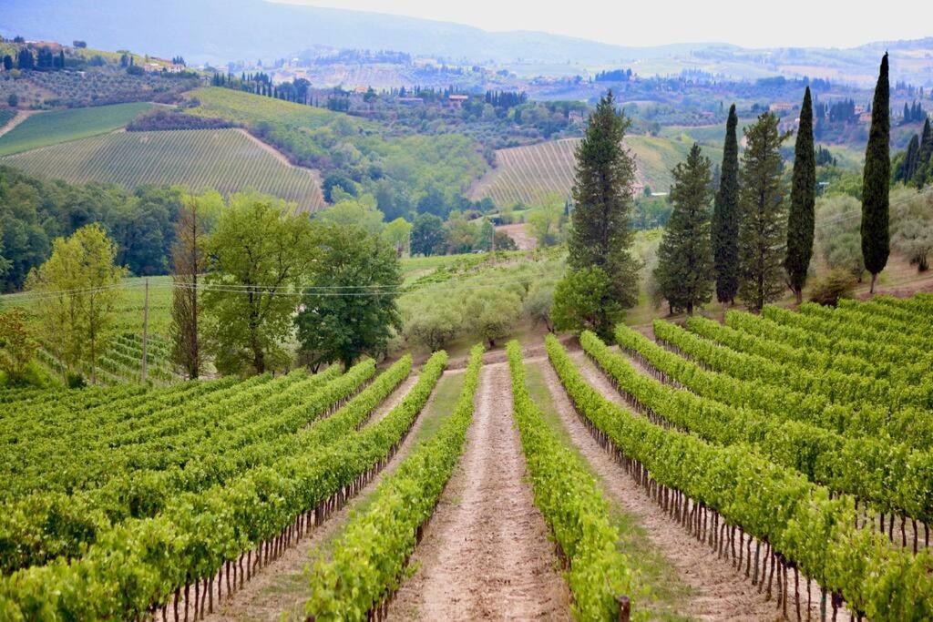 Lovely 2 Bedroom In San Gimignano Historic Center Ngoại thất bức ảnh
